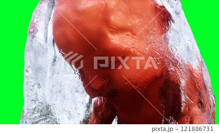 unborn baby fetus in amniotic sac. Realistic green screen. 3d rendering. unborn baby fetus in amniotic sac. Realistic green screen. 3d rendering. 121886731