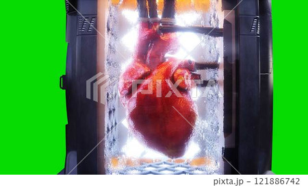 Growing a heart in a futuristic capsule. genetic engineering concept. 3d rendering. Growing a heart in a futuristic capsule. genetic engineering concept. 3d rendering. 121886742