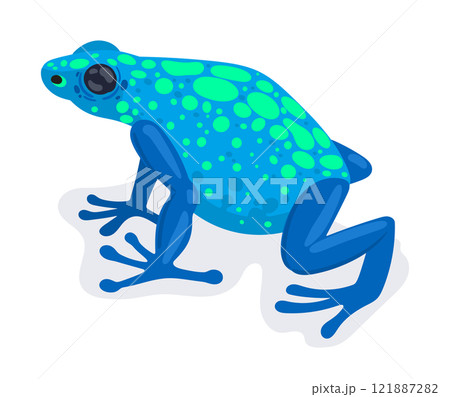 Exotic frog. Cartoon tropical rainforest amphibian animal, blue exotic frog flat vector illustration. Cute frog on white background Exotic frog. Cartoon tropical rainforest amphibian animal, blue exotic frog flat vector illustration. Cute frog on white background 121887282