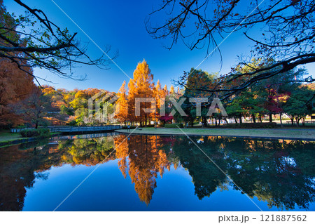 おさごえカルチャーパークの秋 121887562