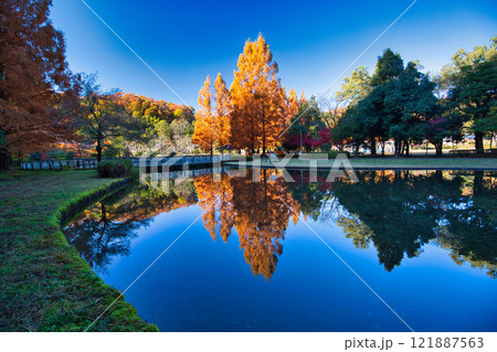 おさごえカルチャーパークの秋 121887563