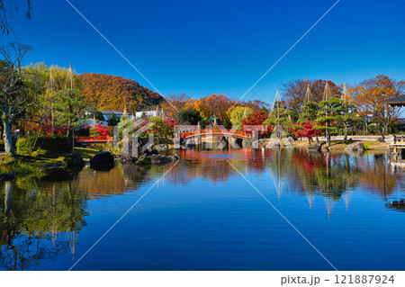 紅葉のある紫式部公園 121887924