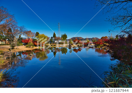 紅葉のある紫式部公園 紅葉のある紫式部公園 121887944