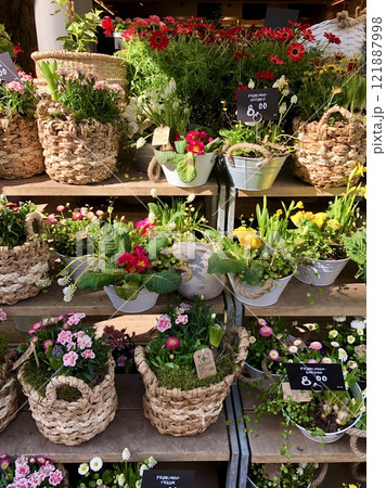ドイツの花屋さんにて。可愛らしい春の花がたくさん並んでいます。 ドイツの花屋さんにて。可愛らしい春の花がたくさん並んでいます。 121887998
