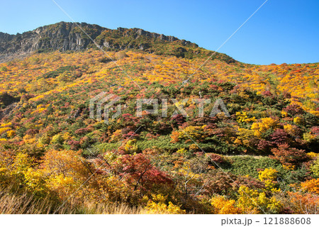 安達太良山　鉄山山麓の紅葉 121888608