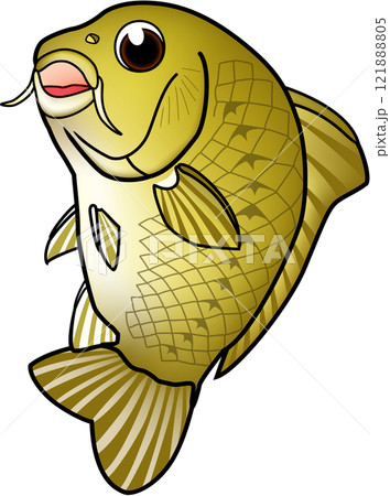 コイ イラスト かわいい系 キャラ コイ イラスト かわいい系 キャラ 121888805