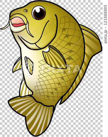 コイ イラスト かわいい系 キャラ コイ イラスト かわいい系 キャラ 121888805