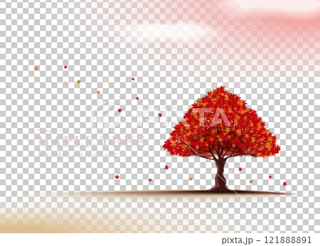 一棵楓樹的寫實插圖，秋天的葉子明亮，站在草地上，夜空廣闊| 121888891