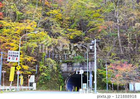秋の国道283号線仙人隧道 121888918