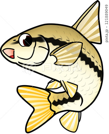 魚　モツゴ　かわいい　イラスト 121889049