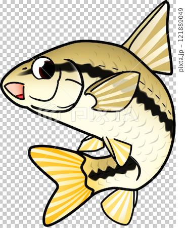 魚　モツゴ　かわいい　イラスト 121889049