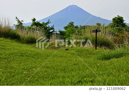 御坂山地 草原の大石峠より初夏の頃の富士山を望む 御坂山地 草原の大石峠より初夏の頃の富士山を望む 121889062