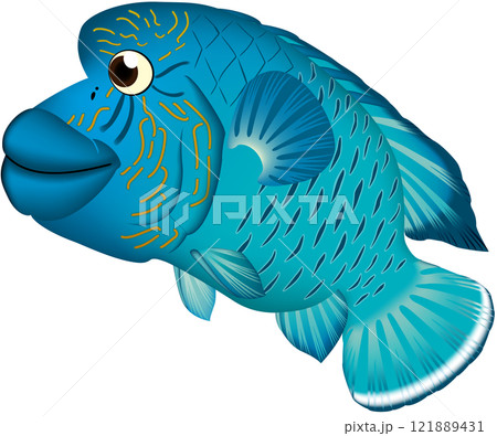 ナポレオンフィッシュ　イラスト　かわいい系 121889431