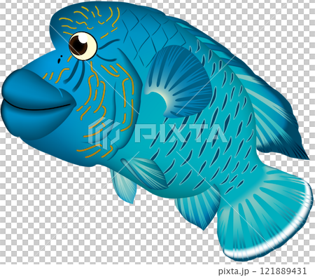 ナポレオンフィッシュ　イラスト　かわいい系 121889431