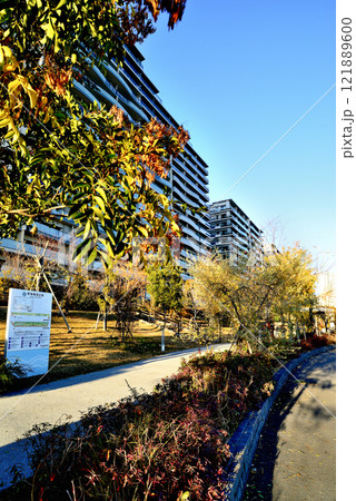 東京 晴海フラッグと晴海緑道公園 超高層マンション群の風景 東京 晴海フラッグと晴海緑道公園 超高層マンション群の風景 121889600
