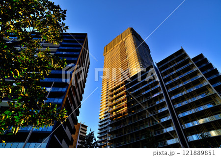 東京 晴海フラッグと晴海緑道公園 超高層マンション群の夕景 121889851
