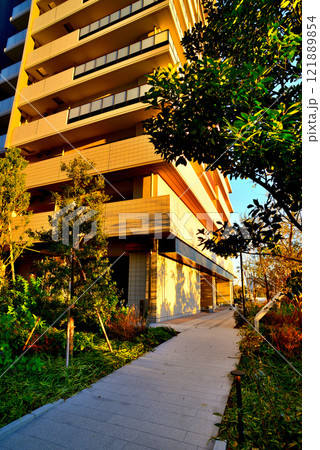 東京 晴海フラッグと晴海緑道公園 超高層マンション群の夕景 121889854