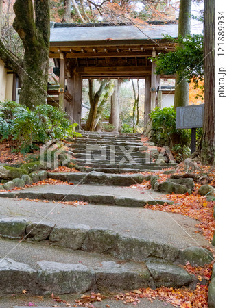神戸市の有馬温泉の瑞宝寺公園の遅い紅葉 神戸市の有馬温泉の瑞宝寺公園の遅い紅葉 121889934
