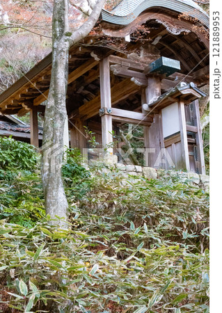 神戸市の有馬温泉の瑞宝寺公園の遅い紅葉 神戸市の有馬温泉の瑞宝寺公園の遅い紅葉 121889953