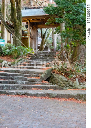 神戸市の有馬温泉の瑞宝寺公園の遅い紅葉 神戸市の有馬温泉の瑞宝寺公園の遅い紅葉 121889956