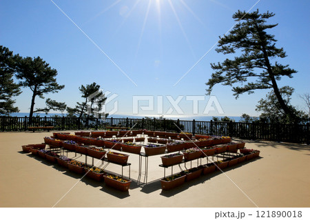 初春の太陽の光が差し込む高知灯台展望所広場 121890018