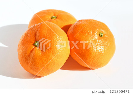 みかん（西浦みかん・青島） 121890471