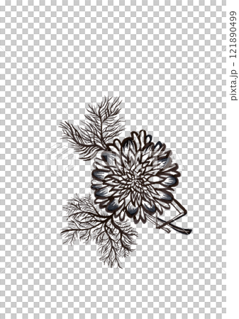 花、植物等（素材、手書きイラスト、ビジュアルアート含む） 121890499