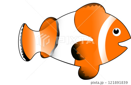 カクレクマノミ、ニモのモデル 121891839