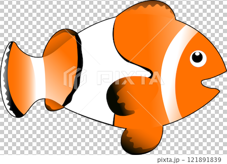 カクレクマノミ、ニモのモデル 121891839
