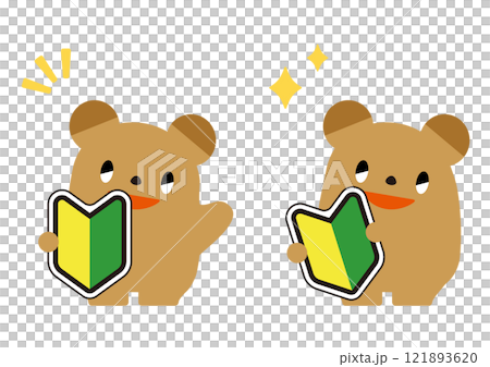 初心者マークを持ったクマ_表情あり 初心者マークを持ったクマ_表情あり 121893620