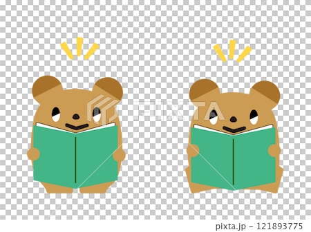 Bear reading a book_with facial expression 121893775