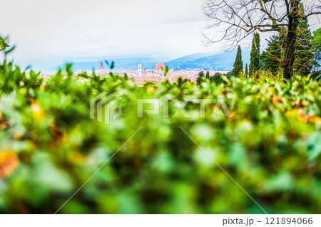 Panoramic view of Florence from a garden 121894066
