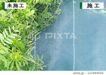 文字入りの防草シート使用例、施工していない部分、施工してある部分 文字入りの防草シート使用例、施工していない部分、施工してある部分 121894420