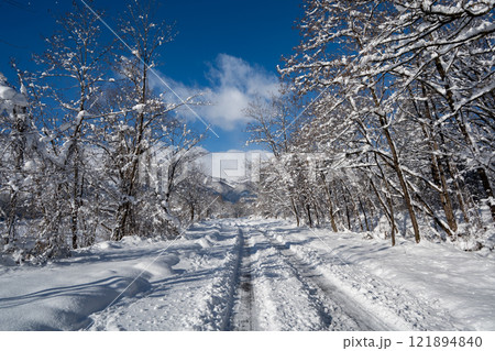 晴れた朝、雪が残る道　長野県白馬村 121894840