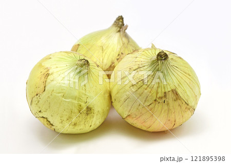 新たまねぎ 121895398