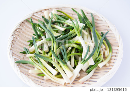 ザルに盛ったあさつき 121895616