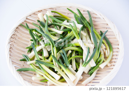 ザルに盛ったあさつき ザルに盛ったあさつき 121895617
