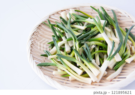 ザルに盛ったあさつき ザルに盛ったあさつき 121895621