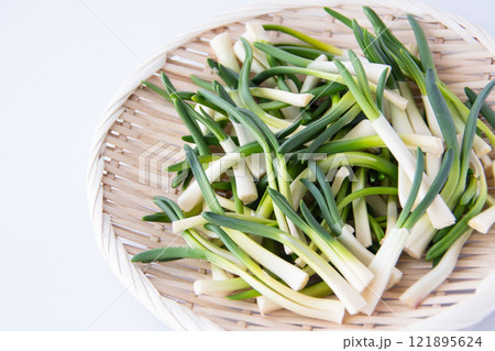 ザルに盛ったあさつき 121895624