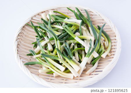 ザルに盛ったあさつき 121895625