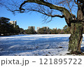 仙台　雪の榴岡公園 121895722