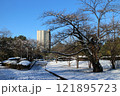 仙台　雪の榴岡公園 121895723