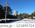 仙台　雪の榴岡公園 121895724
