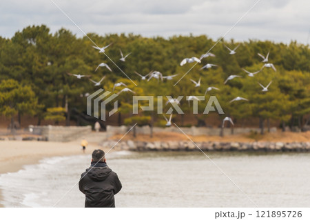 早朝の海の光景 金沢八景 海の公園 早朝の海の光景 金沢八景 海の公園 121895726
