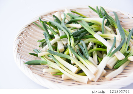 ザルに盛ったあさつき 121895792