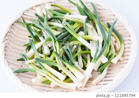 ザルに盛ったあさつき 121895794