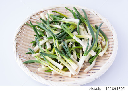 ザルに盛ったあさつき 121895795