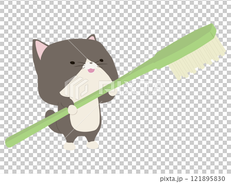 Smiling brown-and-white cat holding a toothbrush Smiling brown-and-white cat holding a toothbrush 121895830