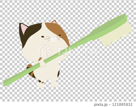 Calico cat with toothbrush 121895832