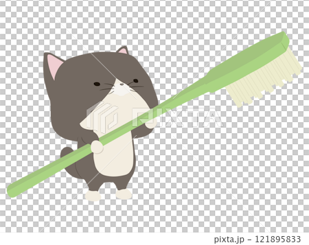 Brown-skinned cat holding a toothbrush 121895833